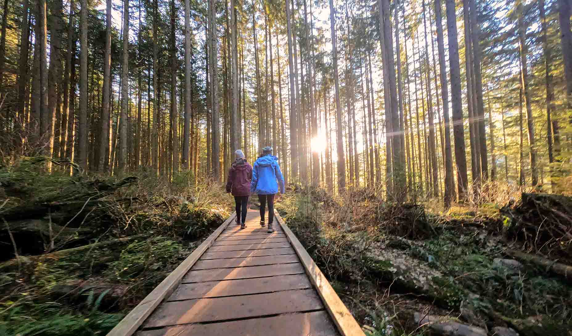 Two women hiking in a sunlit forest